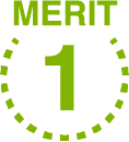 merit1